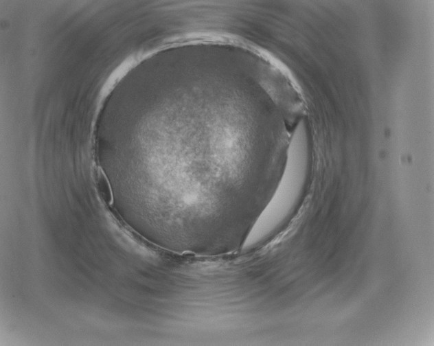 X0000080201373200612221355