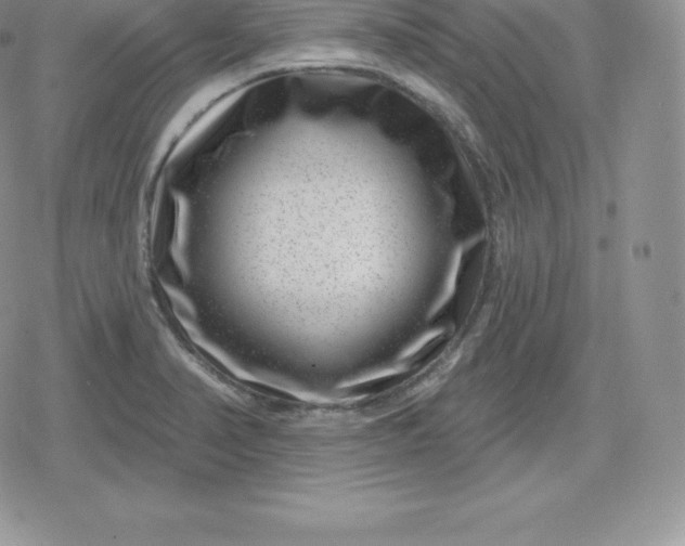 X0000080201374200612221355