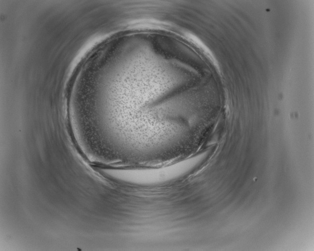 X0000080201376200612221355