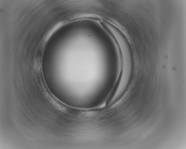 X0000080201377200612221355