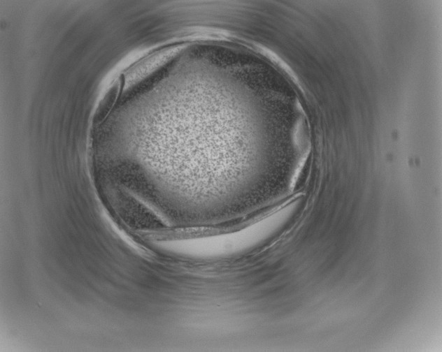 X0000080201379200612221355