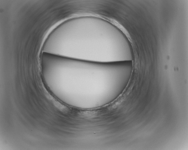 X0000080201380200612221355