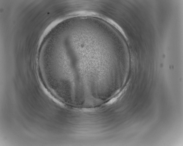 X0000080201381200612221355