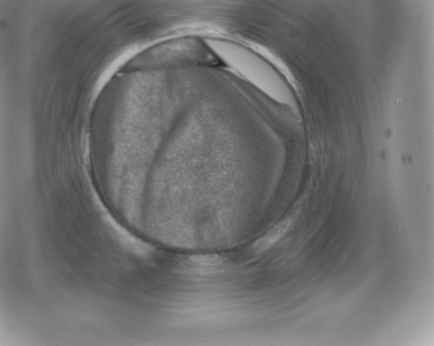 X0000080201383200612221355