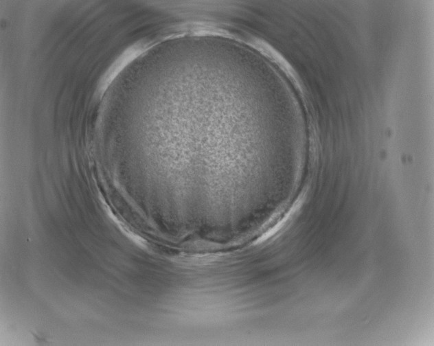 X0000080201385200612221355