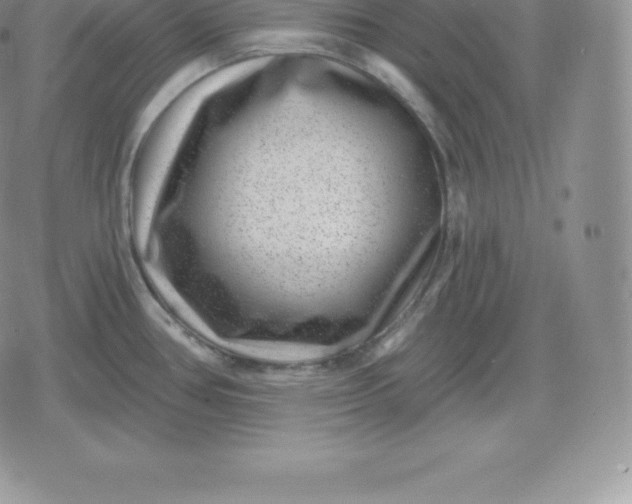 X0000080201386200612221355