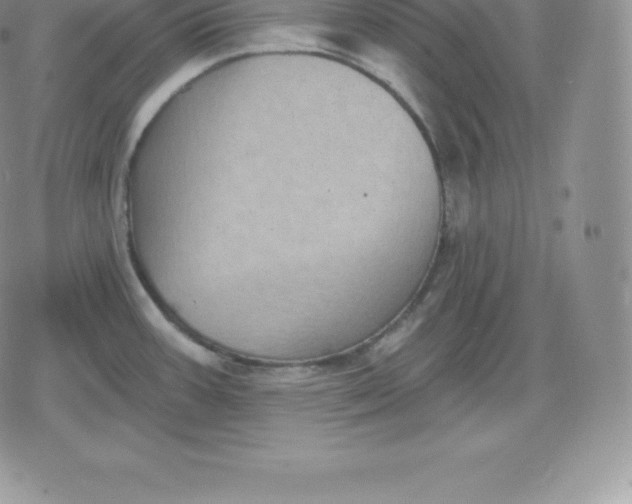 X0000080201387200612221355