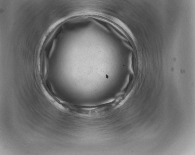 X0000080201388200612221355