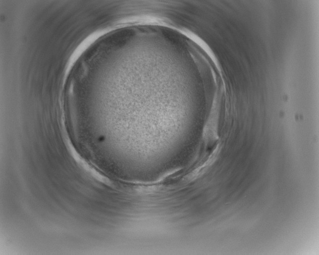 X0000080201389200612221354