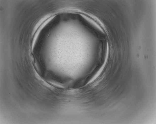 X0000080201390200612221354