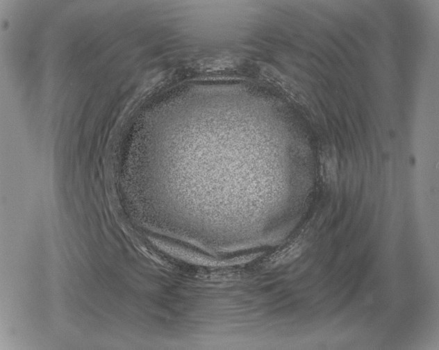 X0000080201393200612221354