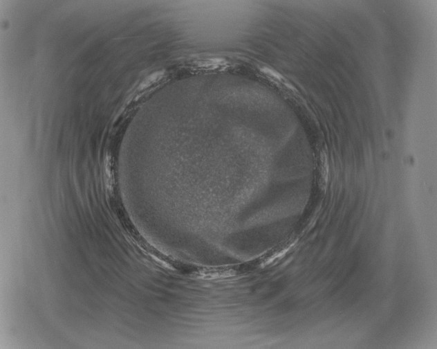 X0000080201394200612221354