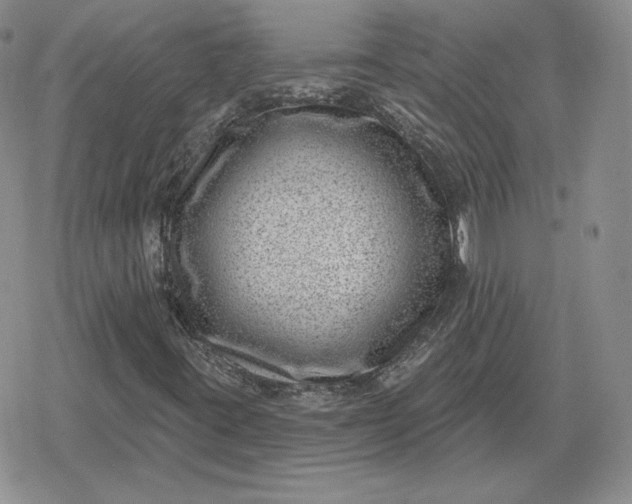 X0000080201395200612221354