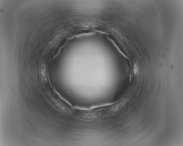 X0000080201396200612221354