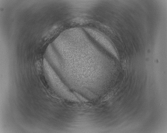 X0000080201397200612221354