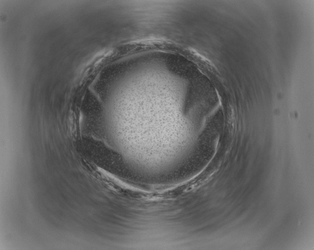 X0000080201398200612221354