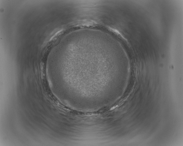 X0000080201399200612221354