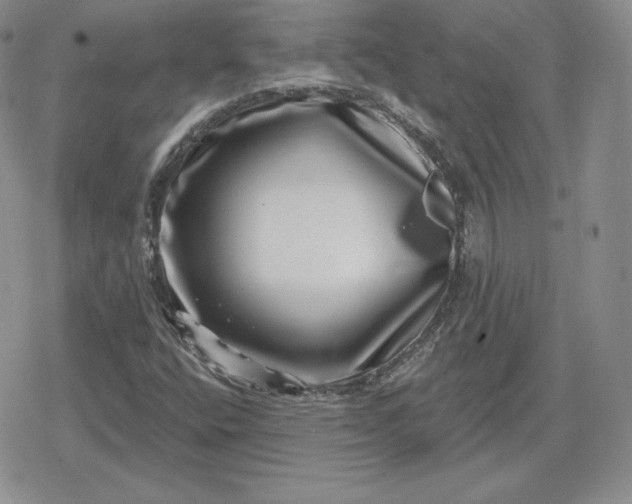 X0000080201400200612221354