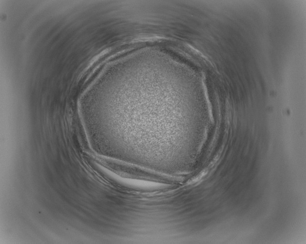 X0000080201401200612221354