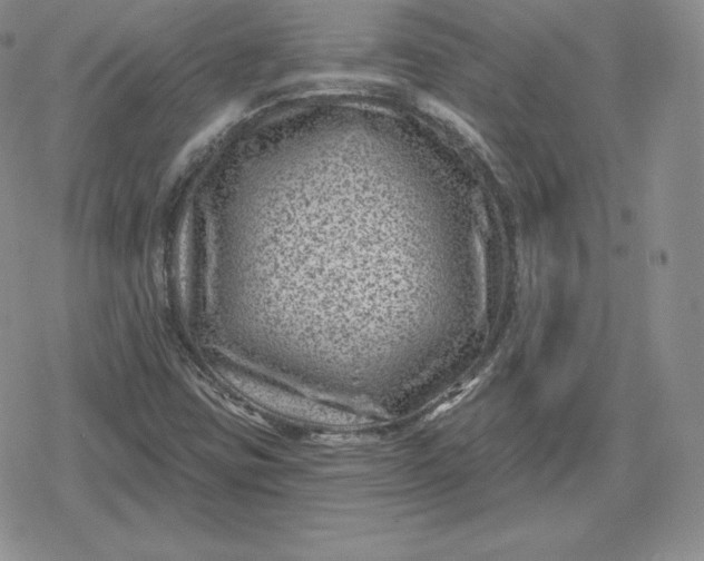 X0000080201403200612221354