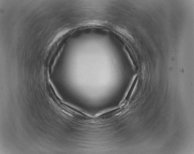 X0000080201404200612221354