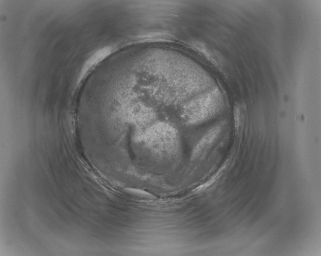 X0000080201405200612221354