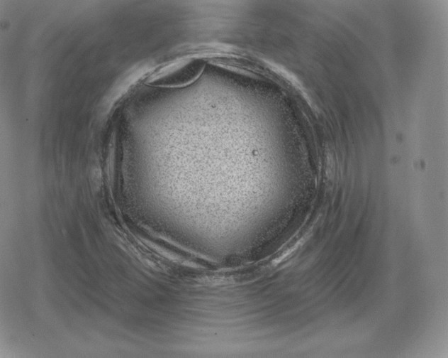 X0000080201407200612221354