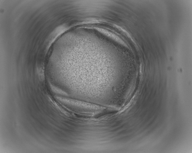 X0000080201409200612221354