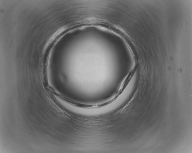 X0000080201410200612221354