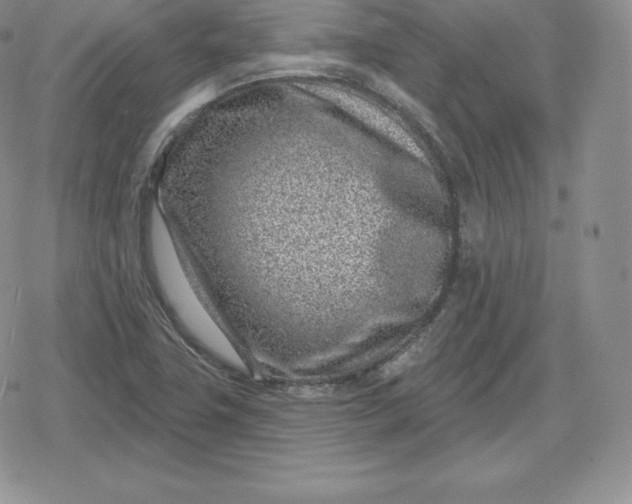 X0000080201411200612221354