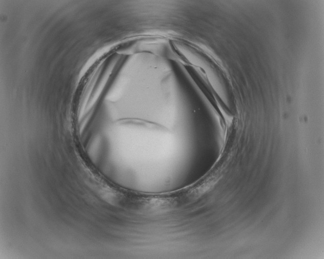 X0000080201412200612221354