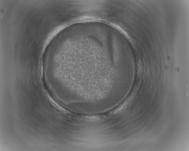 X0000080201413200612221354