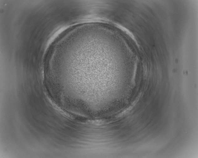 X0000080201415200612221354