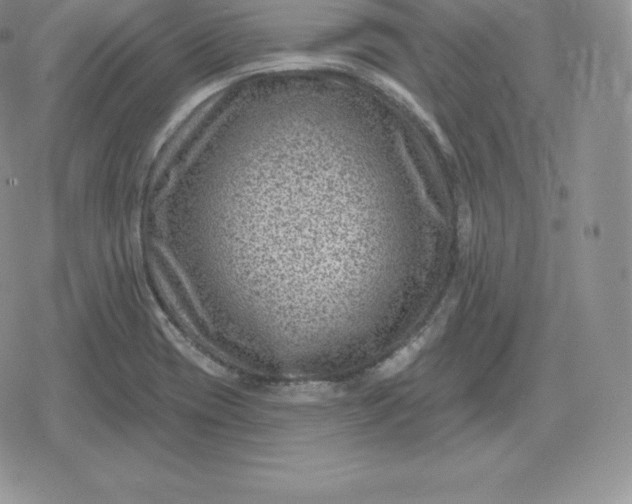 X0000080201417200612221354