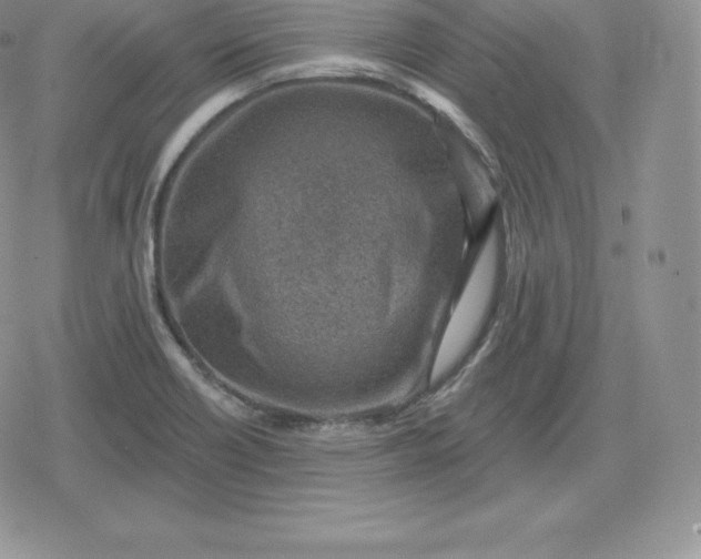 X0000080201418200612221354