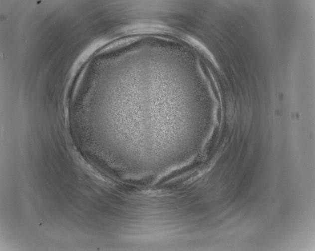 X0000080201419200612221354