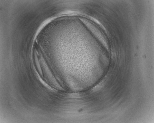 X0000080201421200612221354