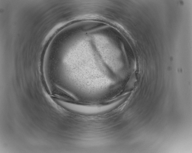 X0000080201422200612221354