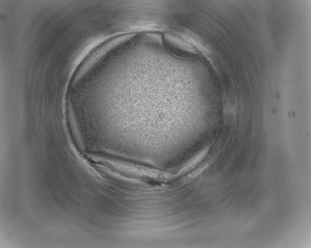 X0000080201423200612221354