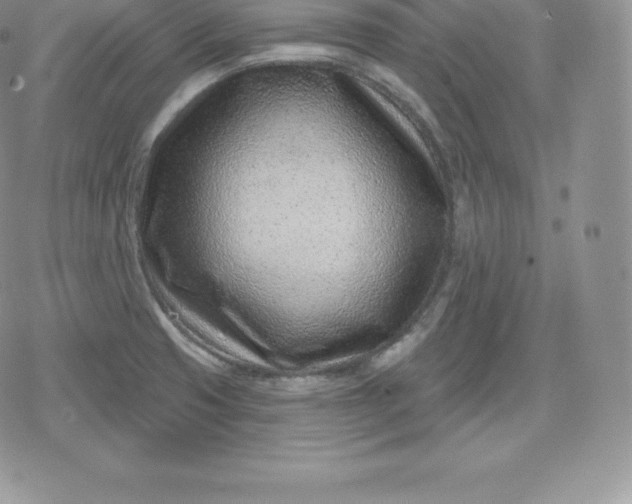 X0000080201425200612221354