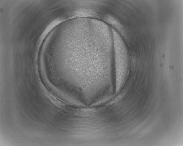 X0000080201427200612221354