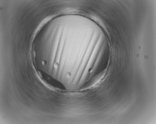 X0000080201429200612221354