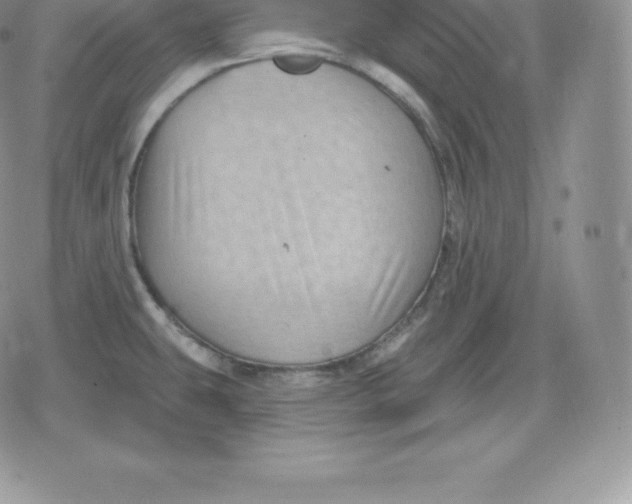 X0000080201431200612221354