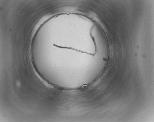 X0000080201432200612221354