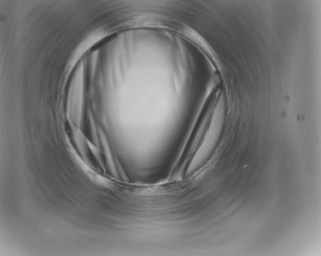 X0000080201434200612221354