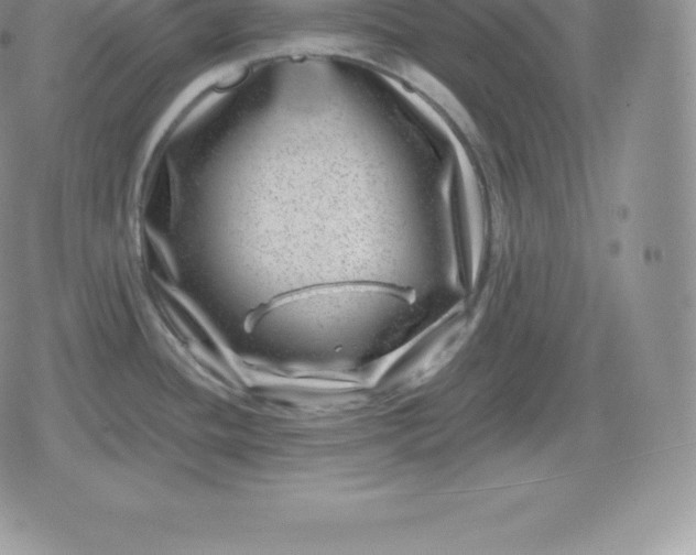 X0000080201436200612221354