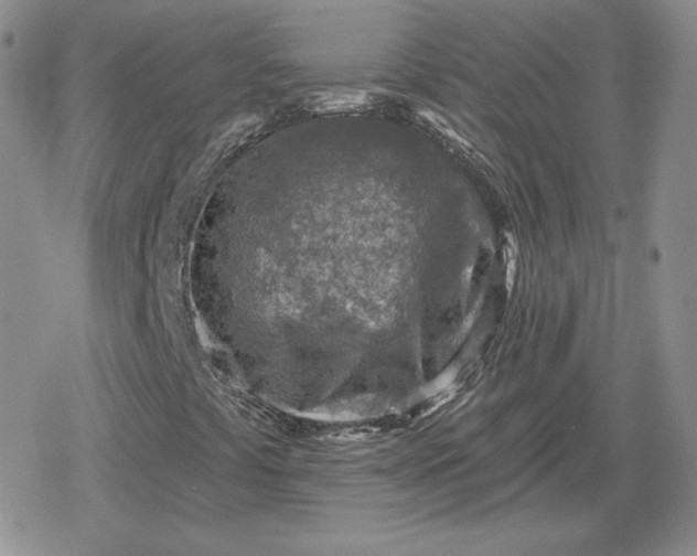 X0000080201441200612221354