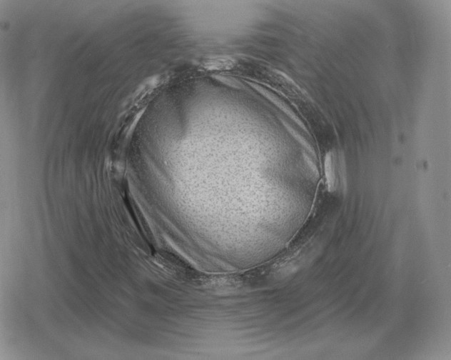 X0000080201443200612221354