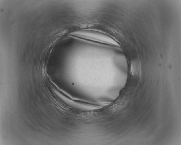 X0000080201444200612221354