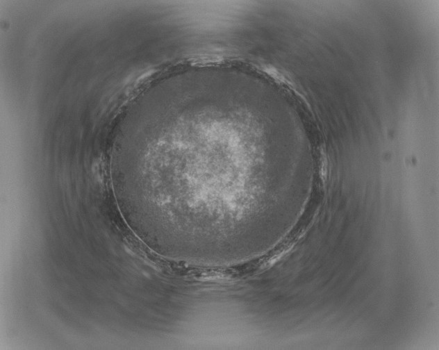 X0000080201445200612221354